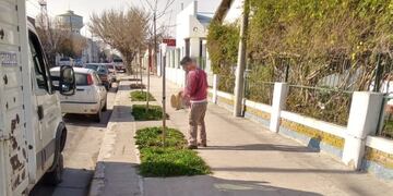 cordón cuneta de calle Formosa y en la reforestación en varios puntos de la ciudad