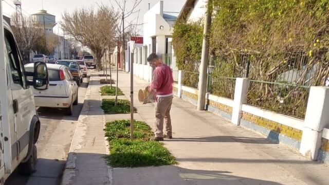 cordón cuneta de calle Formosa y en la reforestación en varios puntos de la ciudad