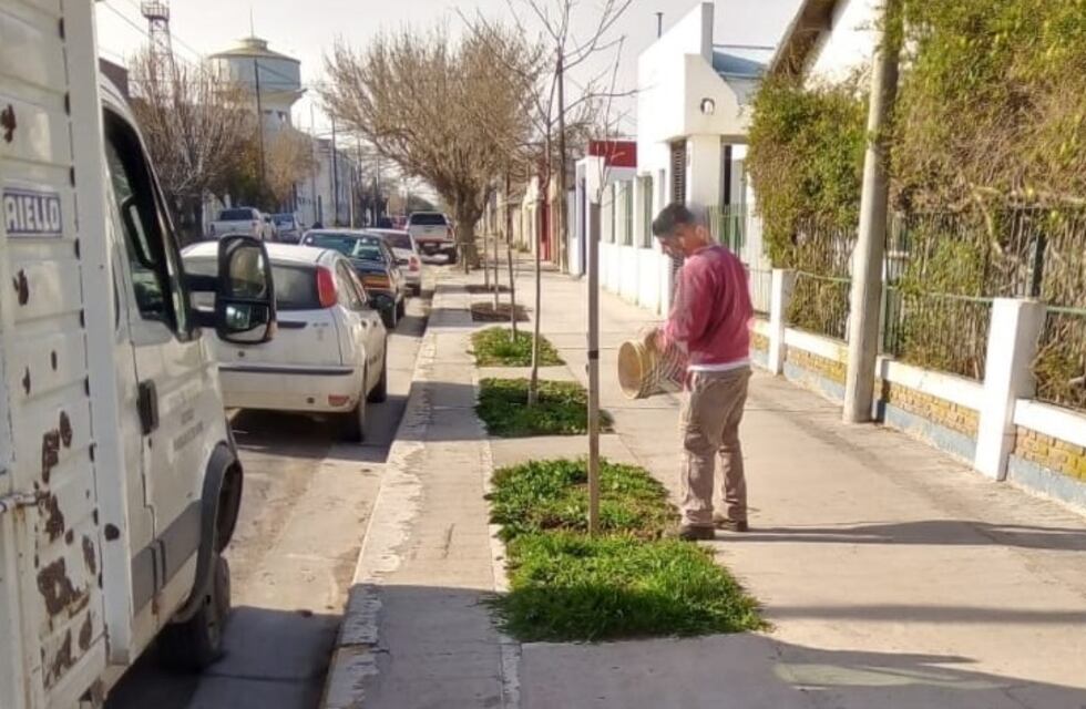 Se trabaja en el cordón cuneta de calle Formosa y en la reforestación en varios puntos de la ciudad
