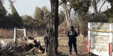 El feto fue encontrado en el árbol que aparece en la foto. (Gentileza Radio Centro Morteros)