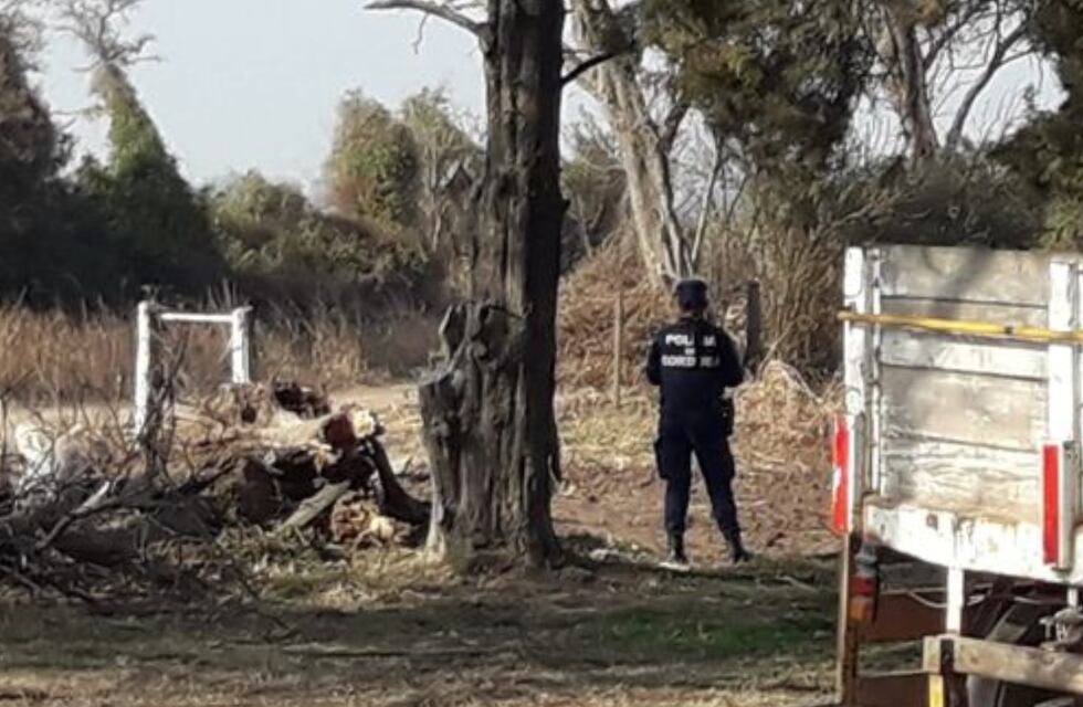 Morteros: encontraron un feto en el hueco de un árbol del cementerio