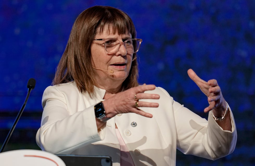 La polémica frase de Patricia Bullrich sobre el caso Loan: dijo que buscarán en “la panza de los animales”