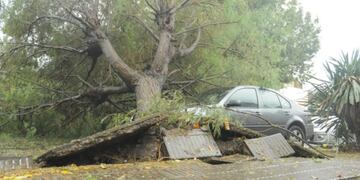 Son más de 40 los evacuados en Bahía Blanca por el temporal