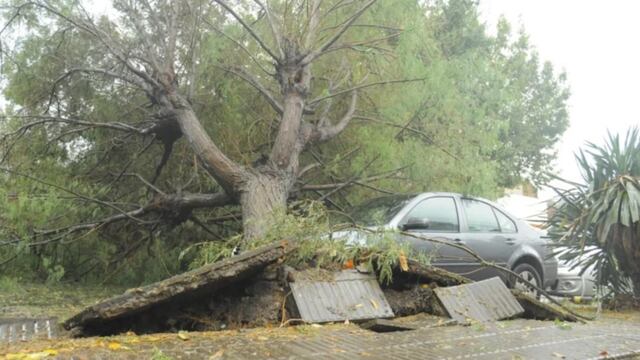 Son más de 40 los evacuados en Bahía Blanca por el temporal