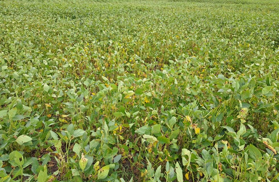 Desesperación en Córdoba: buscan a un hombre que desapareció hace más de una semana