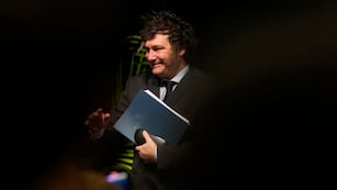 Piden juicio político contra Javier Milei (AP Foto/Lynne Sladky)