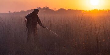 Un bombero voluntario de Corrientes reflexionó sobre su labor y sobre el cuidado del medio ambiente.