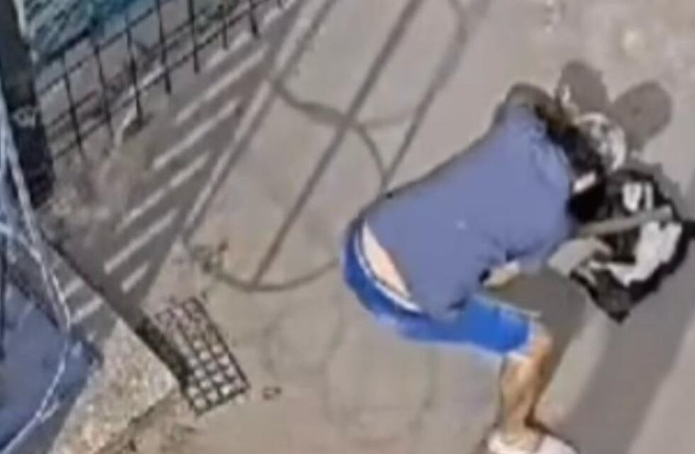 Habló el hermano del falso veterinario de Villa Allende que mató a golpes a un perro: “Que se haga cargo”