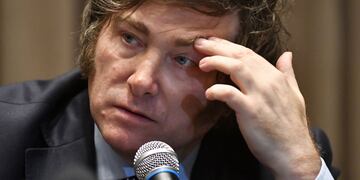 Javier Milei criticó a un partido político de Santa Cruz por tener su apellido en la boleta.