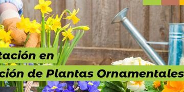 Capacitación en el Vivero Municipal de Eldorado.