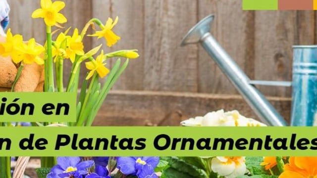 Capacitación en el Vivero Municipal de Eldorado.