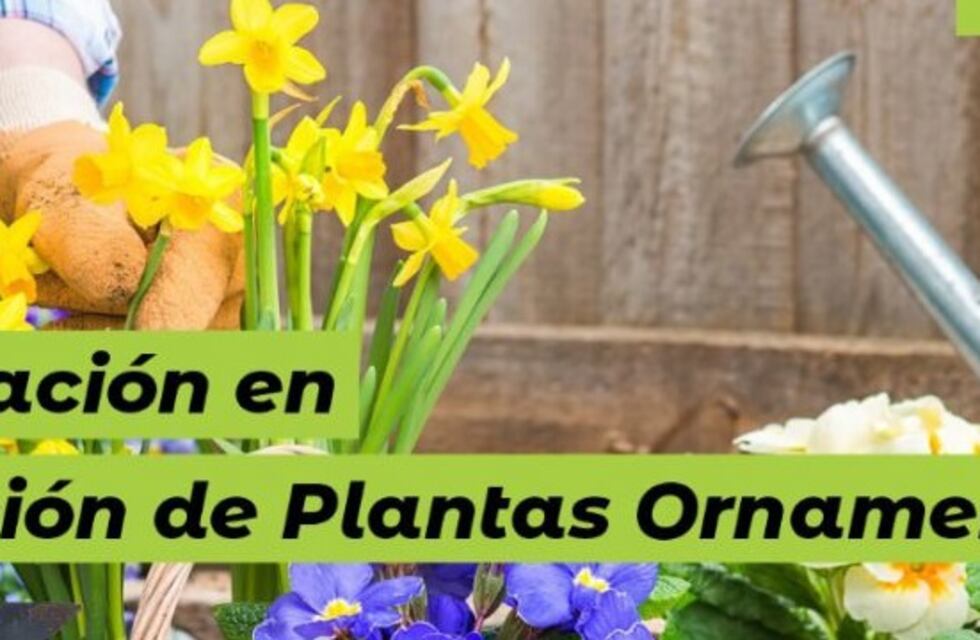 Capacitación en el Vivero Municipal de Eldorado