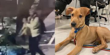 La secuencia quedó filmada por una cámara de seguridad. Foto: Gentileza TN.