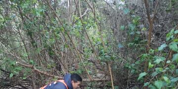 Actos vandálicos en el Bosquecito Besaccia