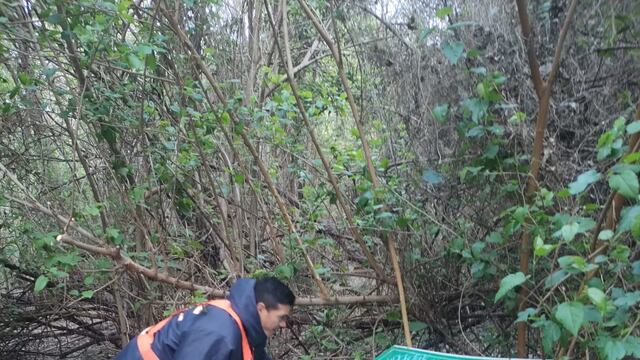 Actos vandálicos en el Bosquecito Besaccia
