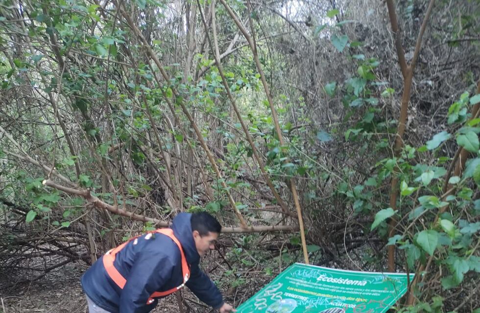 Actos vandálicos en el Bosquecito Besaccia