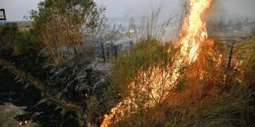 Los incendios en Santa Fe.