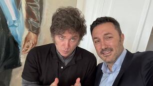 El presidente Javier Milei se reunió con el ministro Luis Petri por la Ficha Limpia (Foto: X)