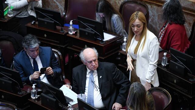 El Frente de Todos consiguió por sí solo el quórum para sesionar. Foto: Comunicación Senado.
