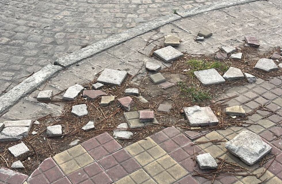 María Paz Caruso solicita mejoras en los canteros de Bv. Roca