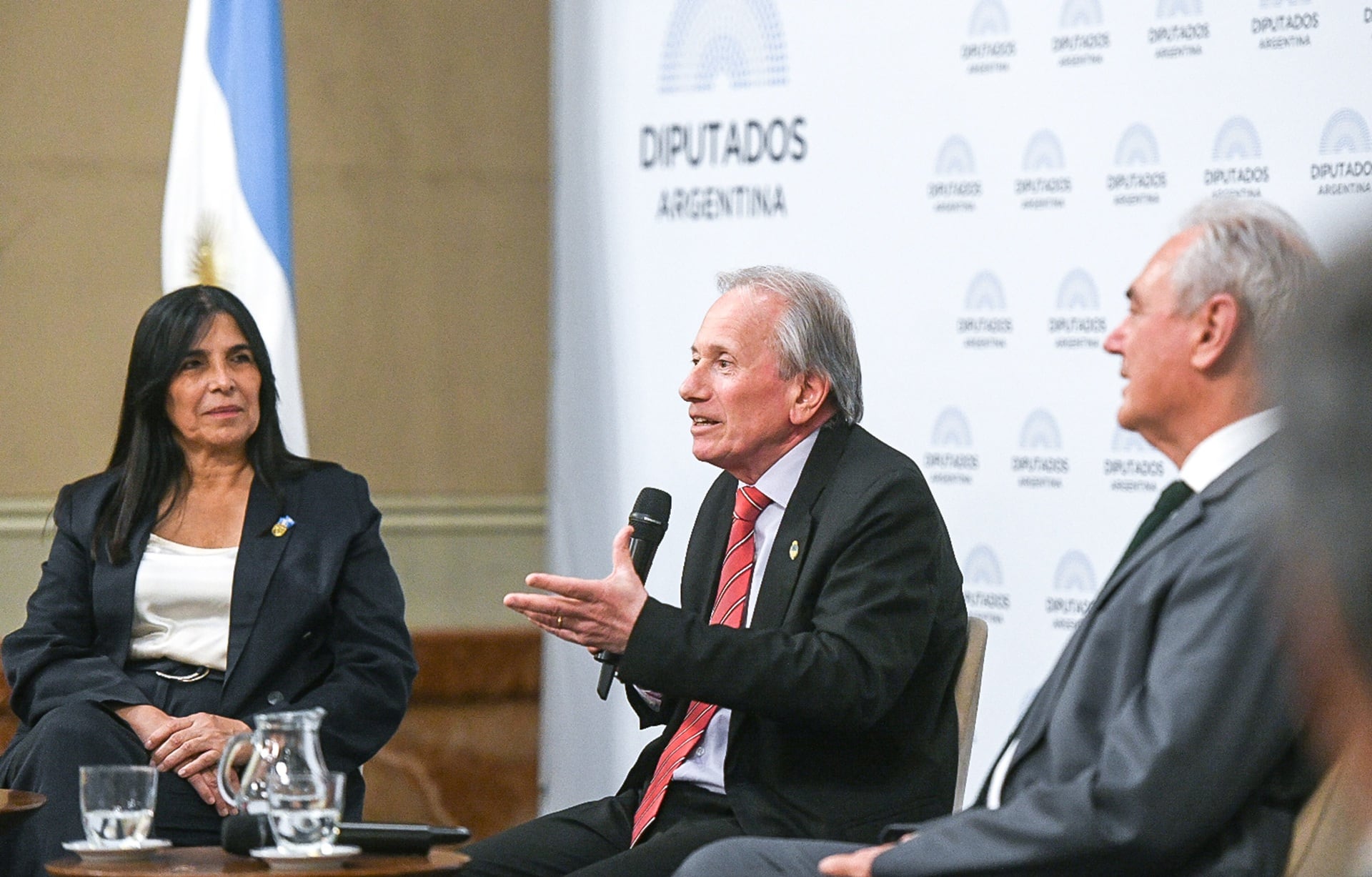 Roberto Romani, emblema cultural de Entre Ríos