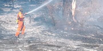 Incendio forestal en Embalse. (Facebook Bomberos Embalse)