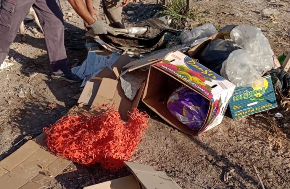 Tres Arroyos, trabajos semanales realizados por la Coordinación de Higiene Urbana