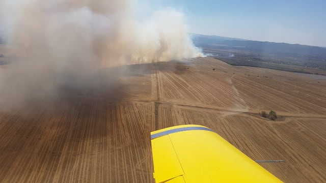 Esta tarde, se desató un frente de fuego en la localidad de San Ignacio.