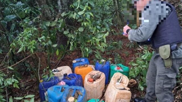 Puerto Esperanza: hallan en el monte bidones para transporte de combustible ilegal.