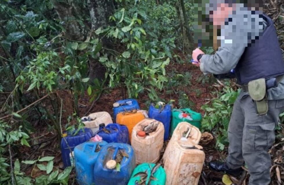Puerto Esperanza: hallan en el monte bidones para transporte de combustible ilegal