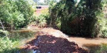 Denuncian peces muertos y contaminación en el arroyo Caraguatay.