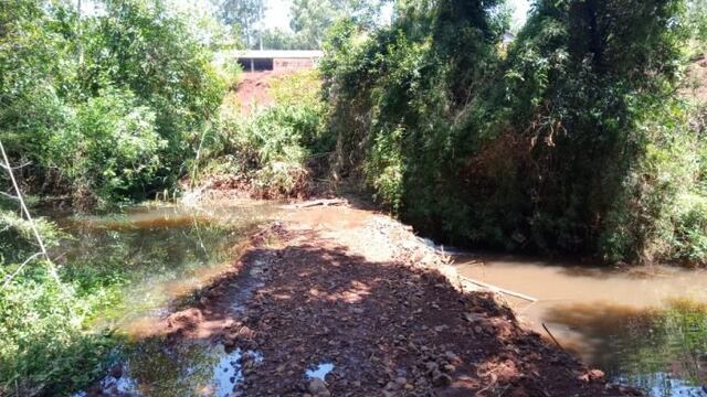 Denuncian peces muertos y contaminación en el arroyo Caraguatay.
