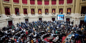 La "ley Bases" en Diputados. (AP Foto/Natacha Pisarenko)