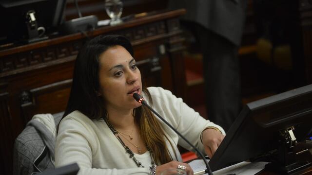 Silvina Camiolo (senadora de Frente de Todos) Mendoza.