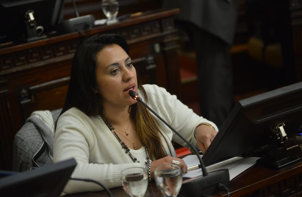 Presentaron un proyecto para que se evalúe la incorporación de las licencias por depresión al listado de la DGE