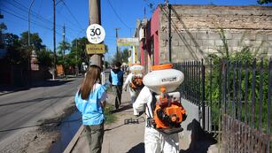 Las brigadas de técnicos y promotores/as en sus recorridos de control contra el dengue.