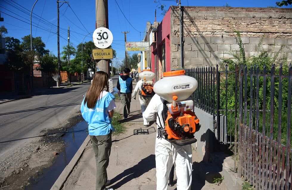 Dengue en Córdoba: los casos siguen en baja y se redujeron en un 40 por ciento