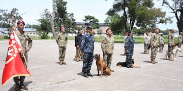 Apoll y Lowngo de la Agrupación Perros de Guerra de la Armada Argentina, fueron recibieron honores al finalizar su servicio activo. (Foto: Gaceta Marinera)