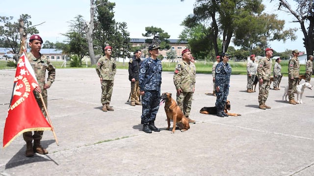 Apoll y Lowngo de la Agrupación Perros de Guerra de la Armada Argentina, fueron recibieron honores al finalizar su servicio activo. (Foto: Gaceta Marinera)