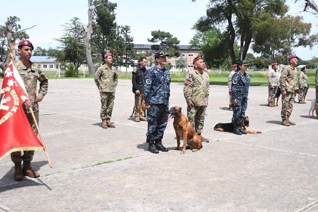 Apoll y Lowngo de la Agrupación Perros de Guerra de la Armada Argentina, fueron recibieron honores al finalizar su servicio activo. (Foto: Gaceta Marinera)