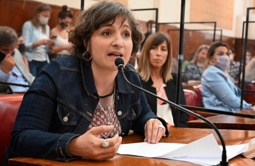 La oposición pide sesión especial por fotomultas