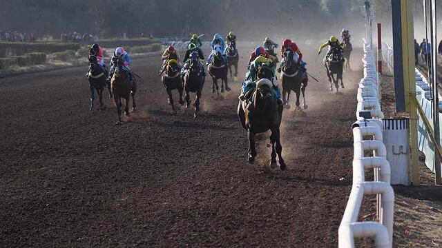Carrera de caballos, imagen ilustrativa. Foto: José Gutierrez / Los Andes