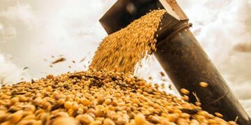 Azul, entre los Municipios declarados en emergencia agropecuaria