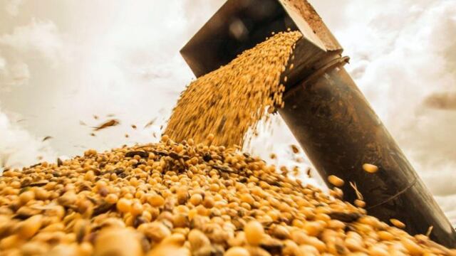 Azul, entre los Municipios declarados en emergencia agropecuaria