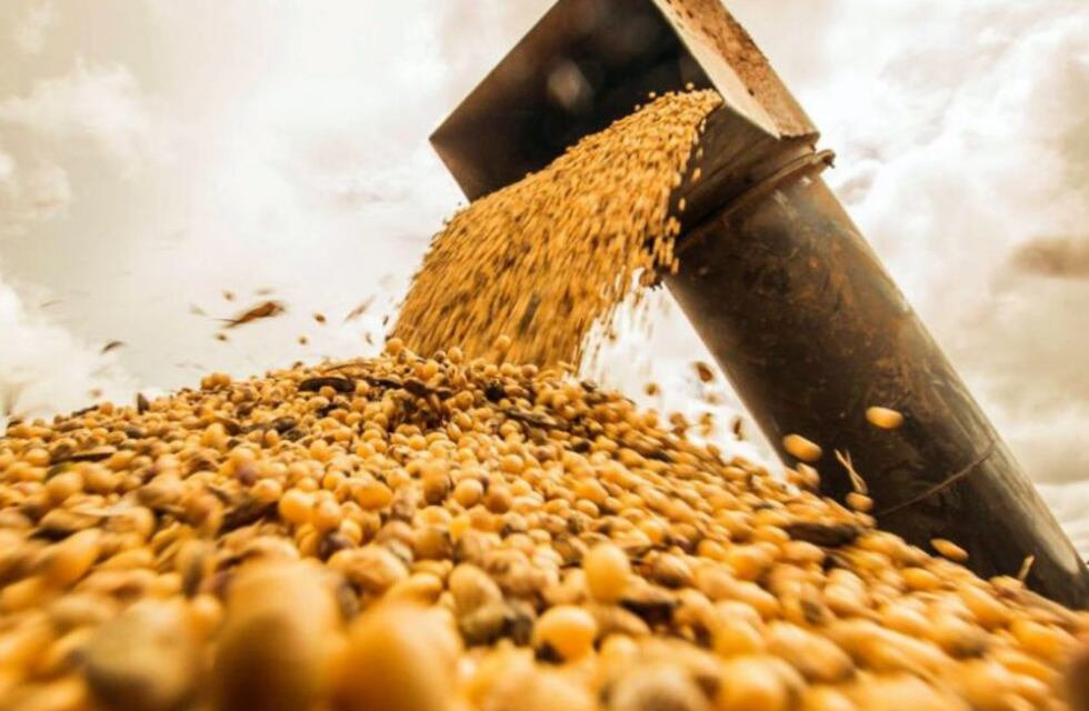 Azul, entre los Municipios declarados en emergencia agropecuaria