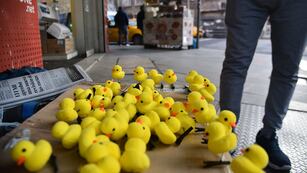 De qué se trata la moda de los patitos amarillos en la cabeza.