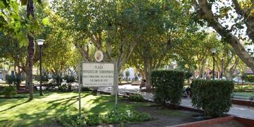 Este sábado en la plaza Sobremonte de Villa de Merlo la comuna intercambiará un arbol por un útil escolar en beneficio del merendero "Sonrisitas". Gentileza Infomerlo