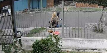 Otro robo en Marqués de Sobremonte.