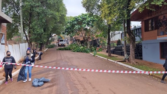 Harán trabajos de poda sobre la avenida San Martín de Eldorado.