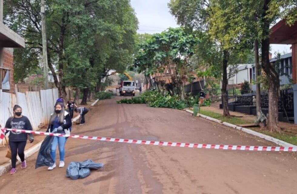 Harán trabajos de poda sobre la avenida San Martín de Eldorado